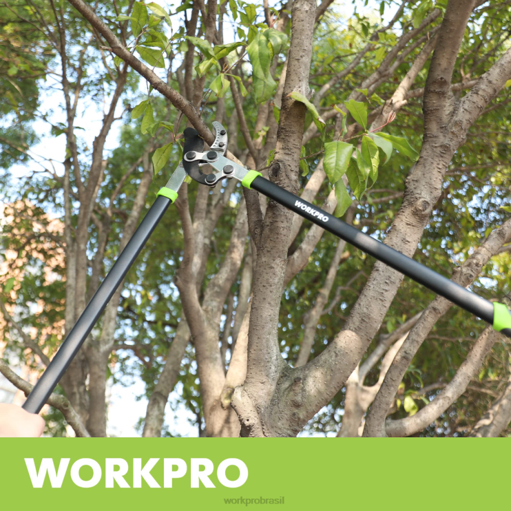 WORKPROTesoura de bigorna, cortador de galhos de 32 polegadas com ação composta, aparador de árvores de jardim resistente XZXLF282 ferramenta