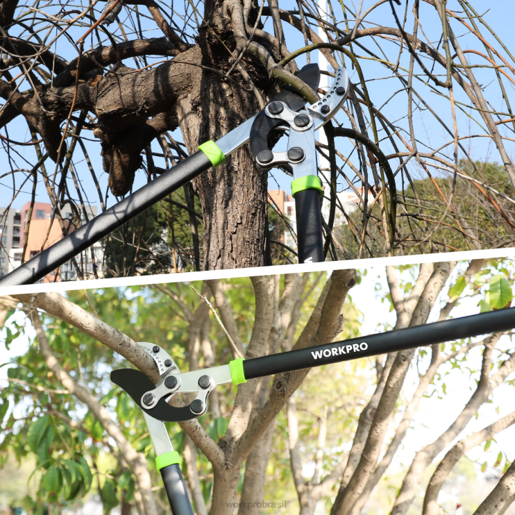 WORKPROTesoura de bigorna, cortador de galhos de 32 polegadas com ação composta, aparador de árvores de jardim resistente XZXLF282 ferramenta