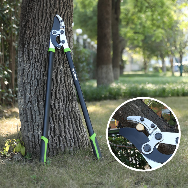 WORKPROTesoura de bigorna, cortador de galhos de 32 polegadas com ação composta, aparador de árvores de jardim resistente XZXLF282 ferramenta