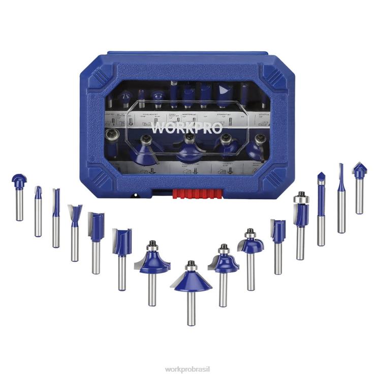 WORKPROConjunto de bits de roteador de 15 unidades, bits de roteador de carboneto de tungstênio com haste de 1/4 polegadas XZXLF130 ferramenta
