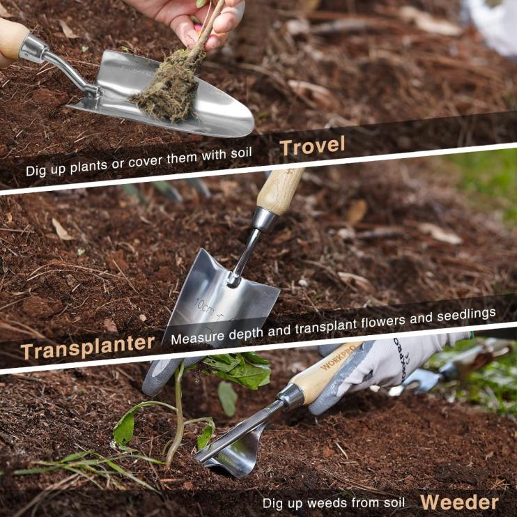 WORKPROConjunto de ferramentas de jardim com 7 peças, ferramentas de jardinagem resistentes em aço inoxidável XZXLF252 ferramenta
